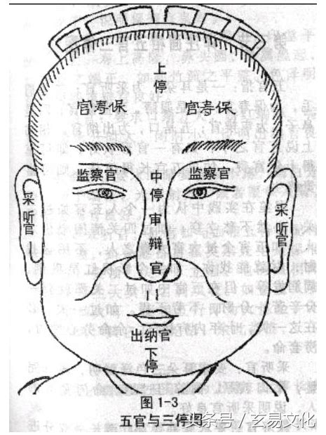 五行 字典 眉毛長面相